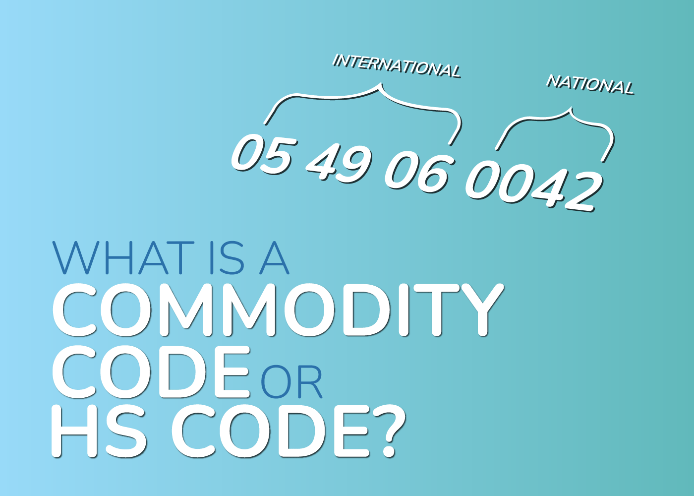 What is a Commodity Code or HS Code? EdgeCTP