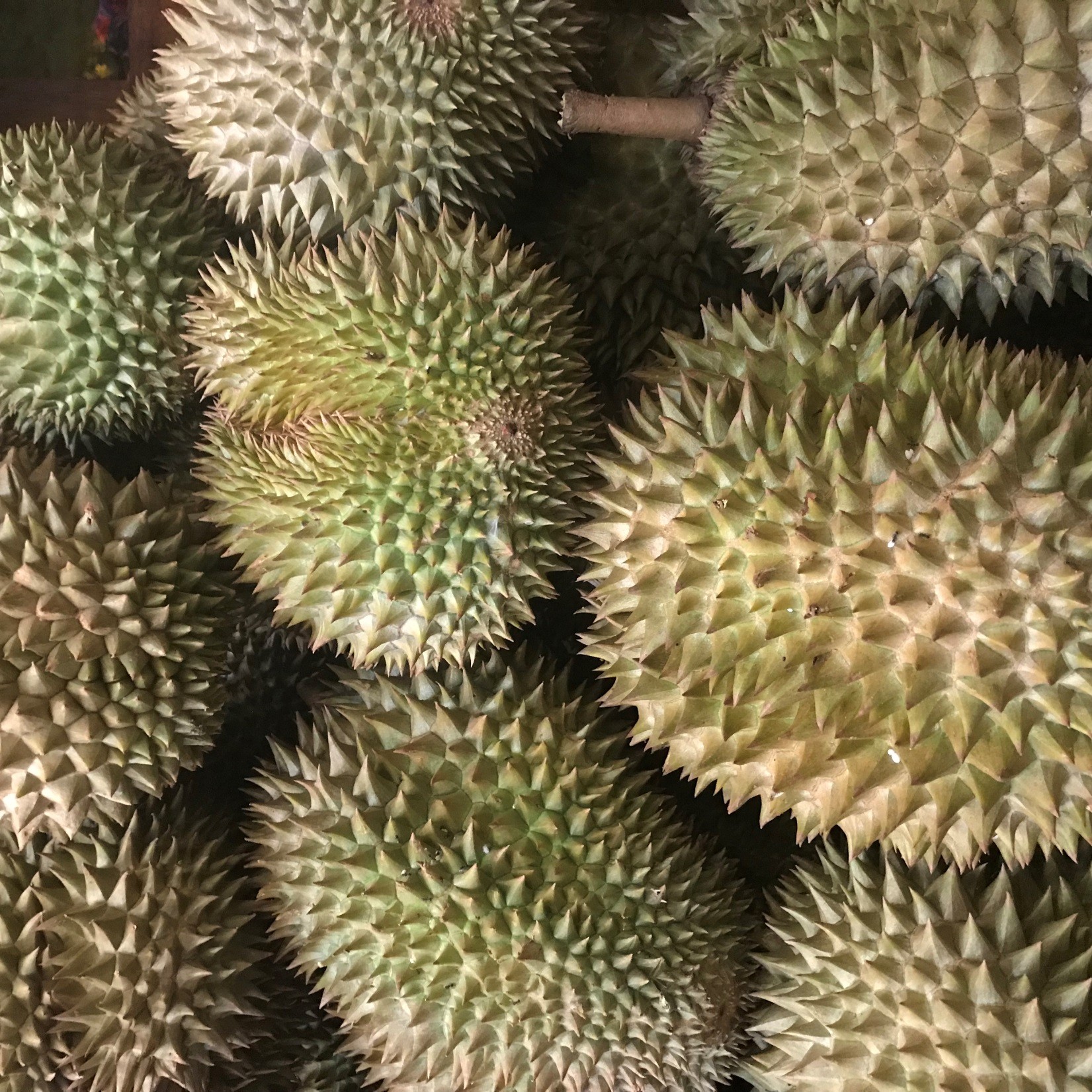 FRUITS OF THE SEASON Edge Davao