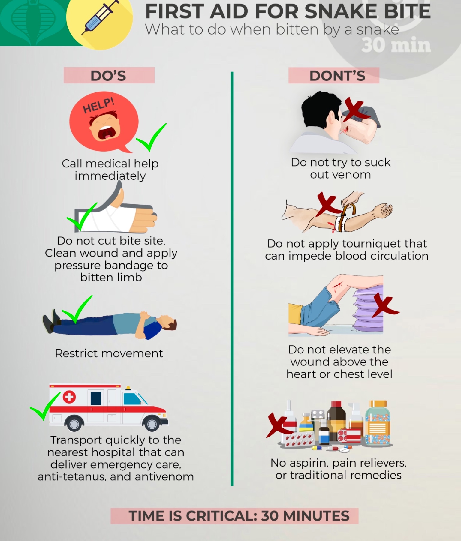 First aid for snakebites Edge Davao