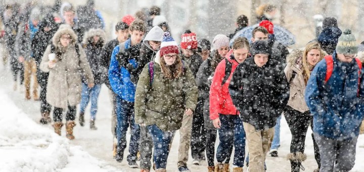 Canada Goose Jackets Turn Outdoorwear Divisive On College Campuses
