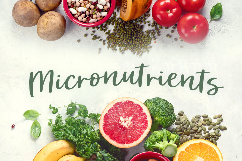 Micronutrients Why do they matter? Edgemont Naturopathic Clinic