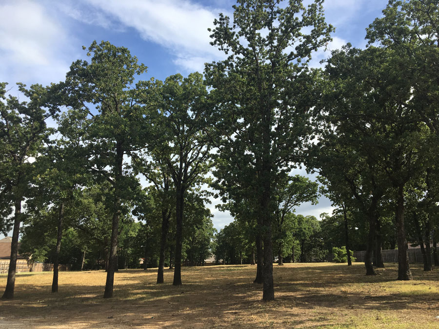 Properties Edge Rock Properties LLC