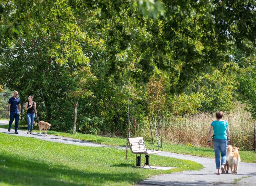 A Walk in the Woods EdgeWater Estates