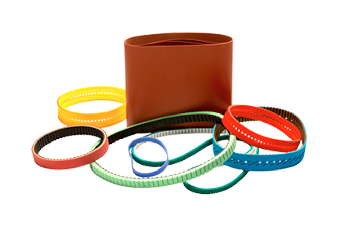 Vacuum Belt - EDGEWORTHY ENTERPRISES