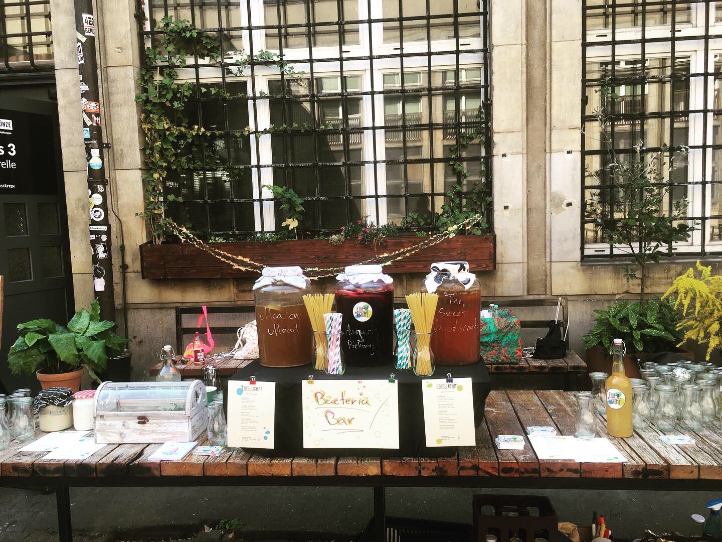 The Bacteria Bar Probiotic Drinks Berlin Edible Alchemy Fermentation