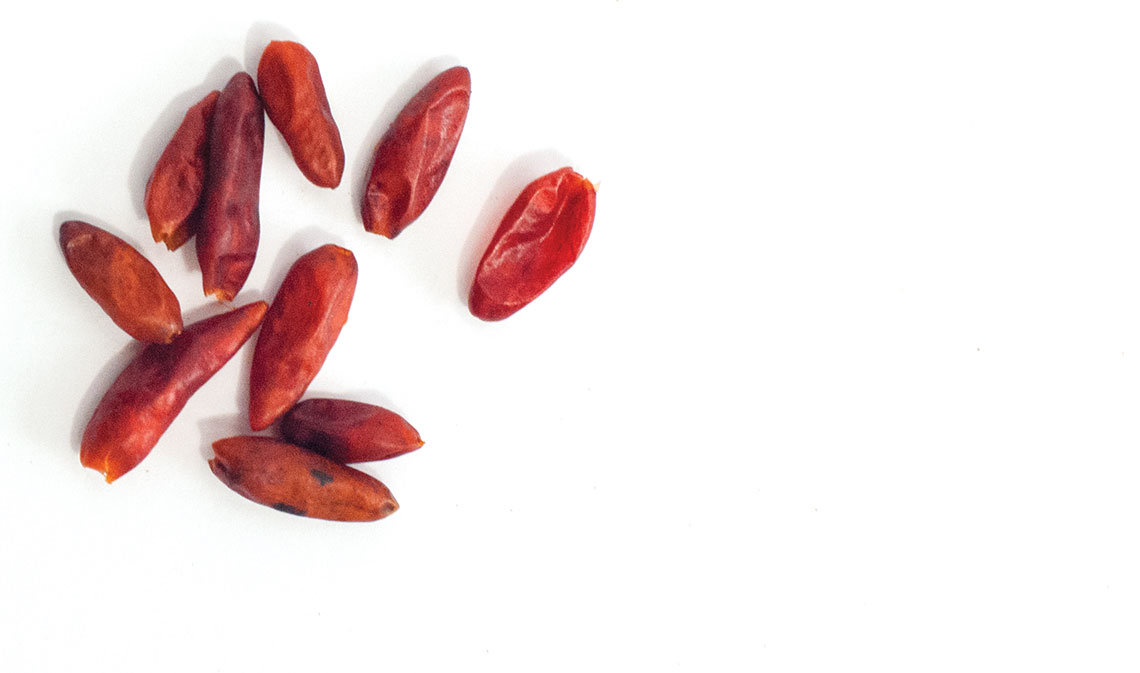 12 Spicy Summer Recipes Edible Austin