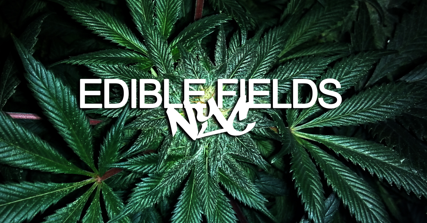 Edible Fields NYC Culinary "Canna Craft" Creations!