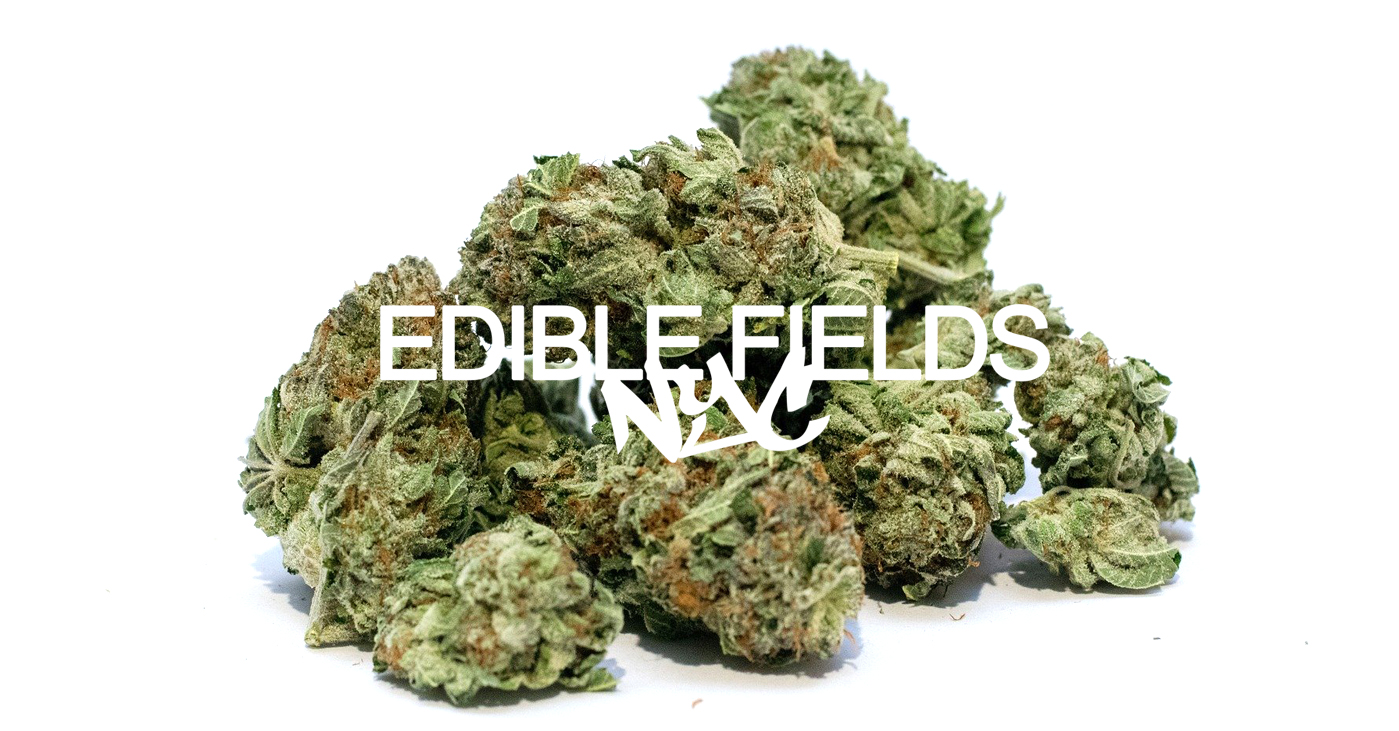 Edible Fields NYC Culinary "Canna Craft" Creations!