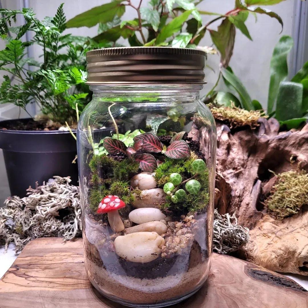 Edmonton Made Gardens in Jars Edify.