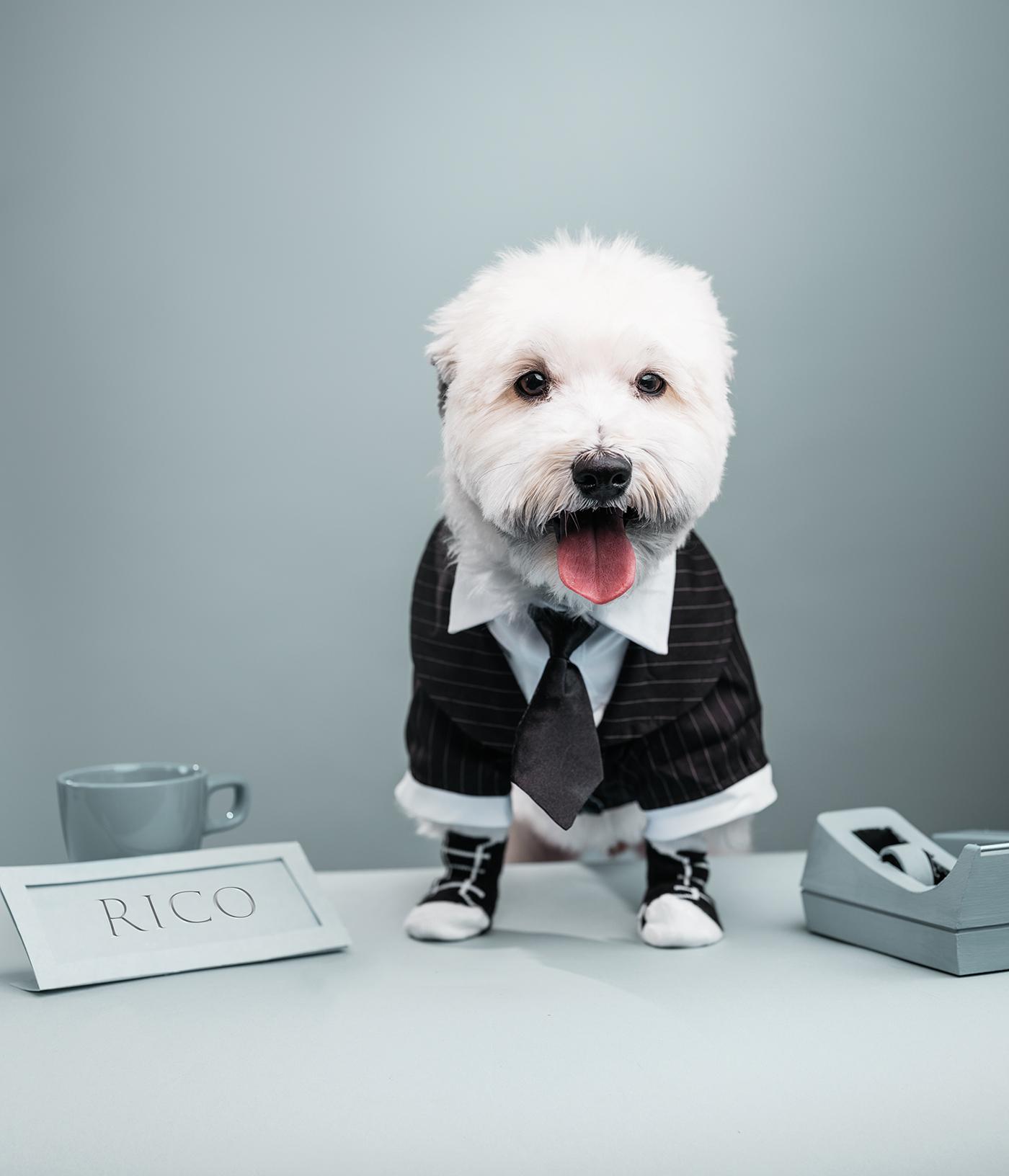 Meet the Dogs of Edmonton Edify.