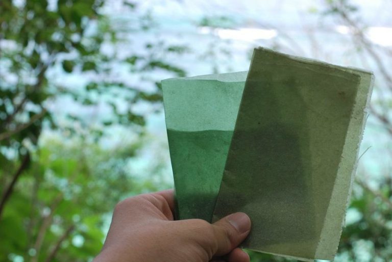 Kompostierbares Plastik aus Krabbenpanzern