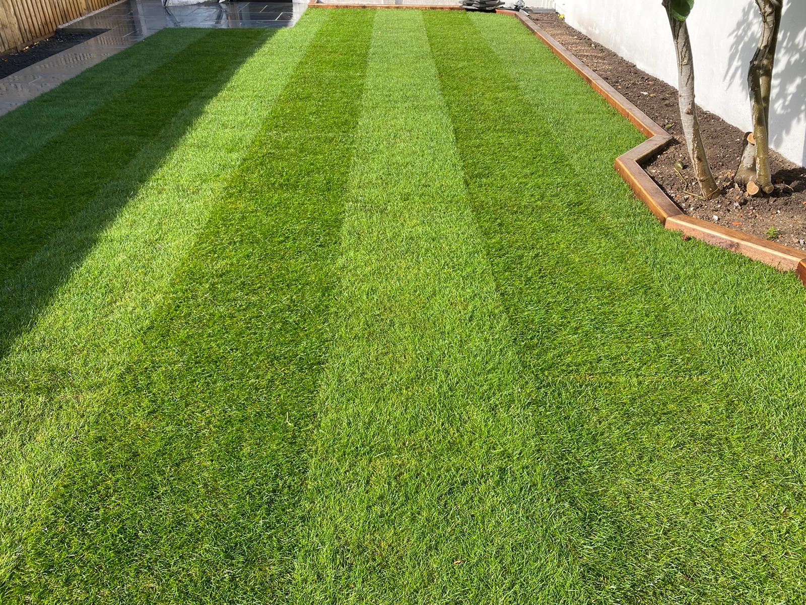 Gardening & maintainance Edison Building & Landscaping