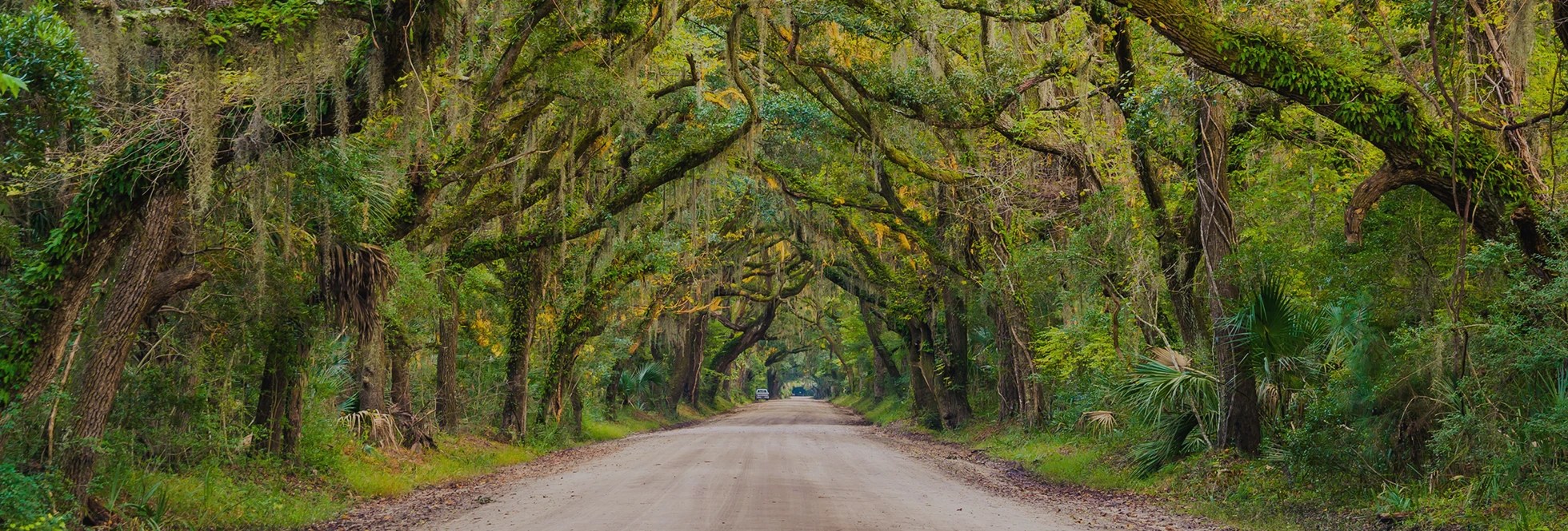 Botany Bay SC Botany Bay Edisto Island