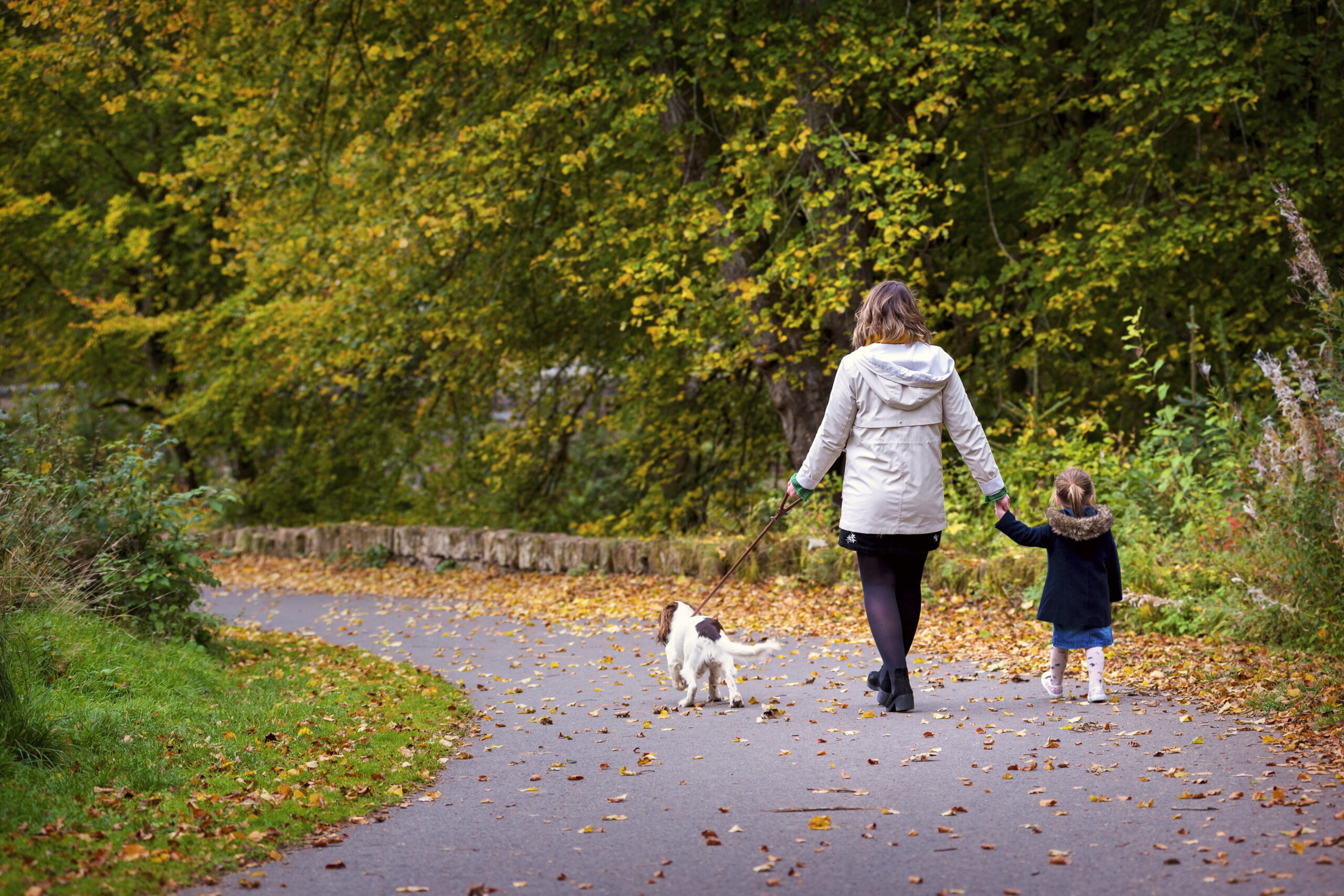 The Unmatched Convenience of Printers Place Ediston Homes