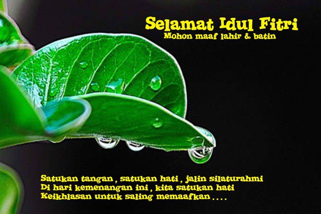 Ucapan Selamat Hari Raya Idul Fitri Naqs Dna