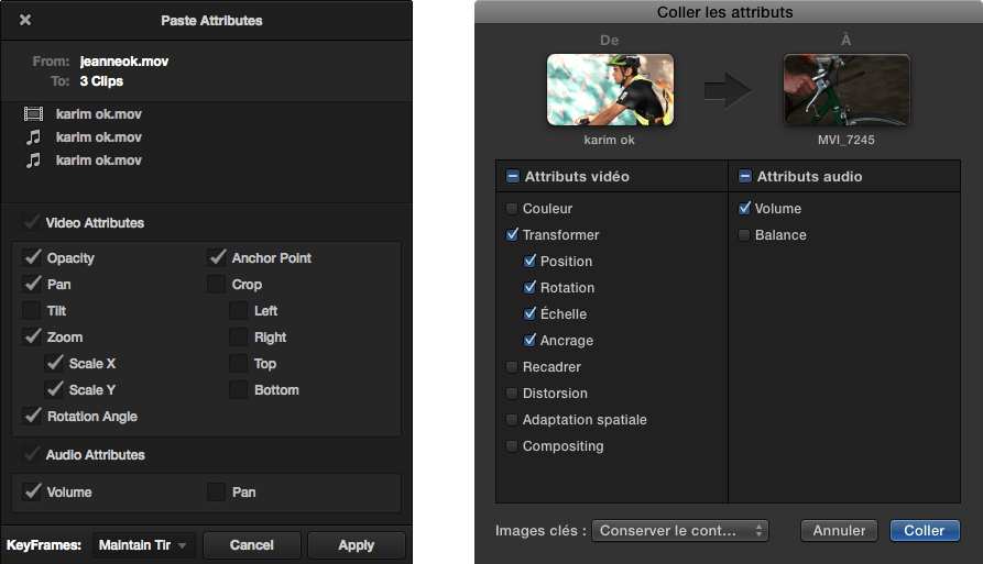 Resolve 11 Montage interface pour monteur Final Cut Pro Montage audiovisuel & cinéma