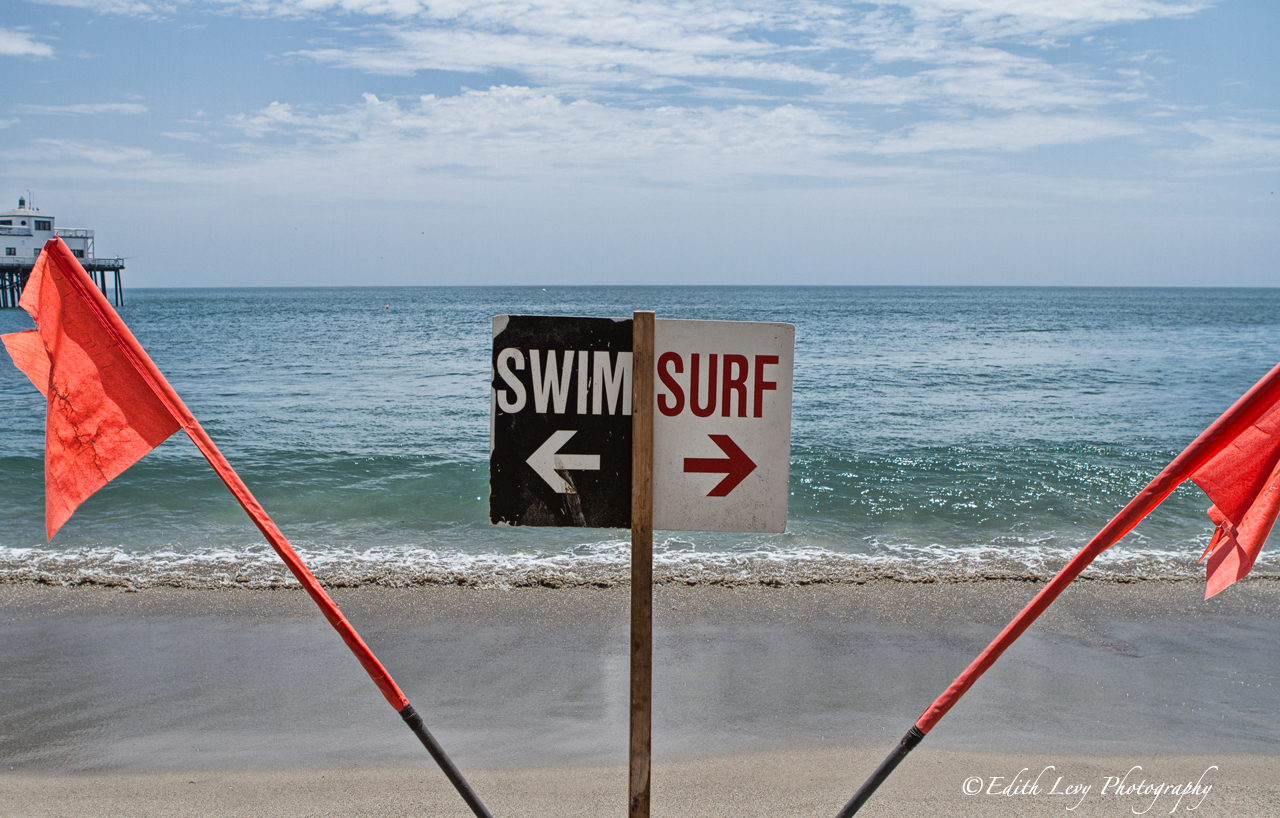 Swim or Surf? Edith Levy Photography