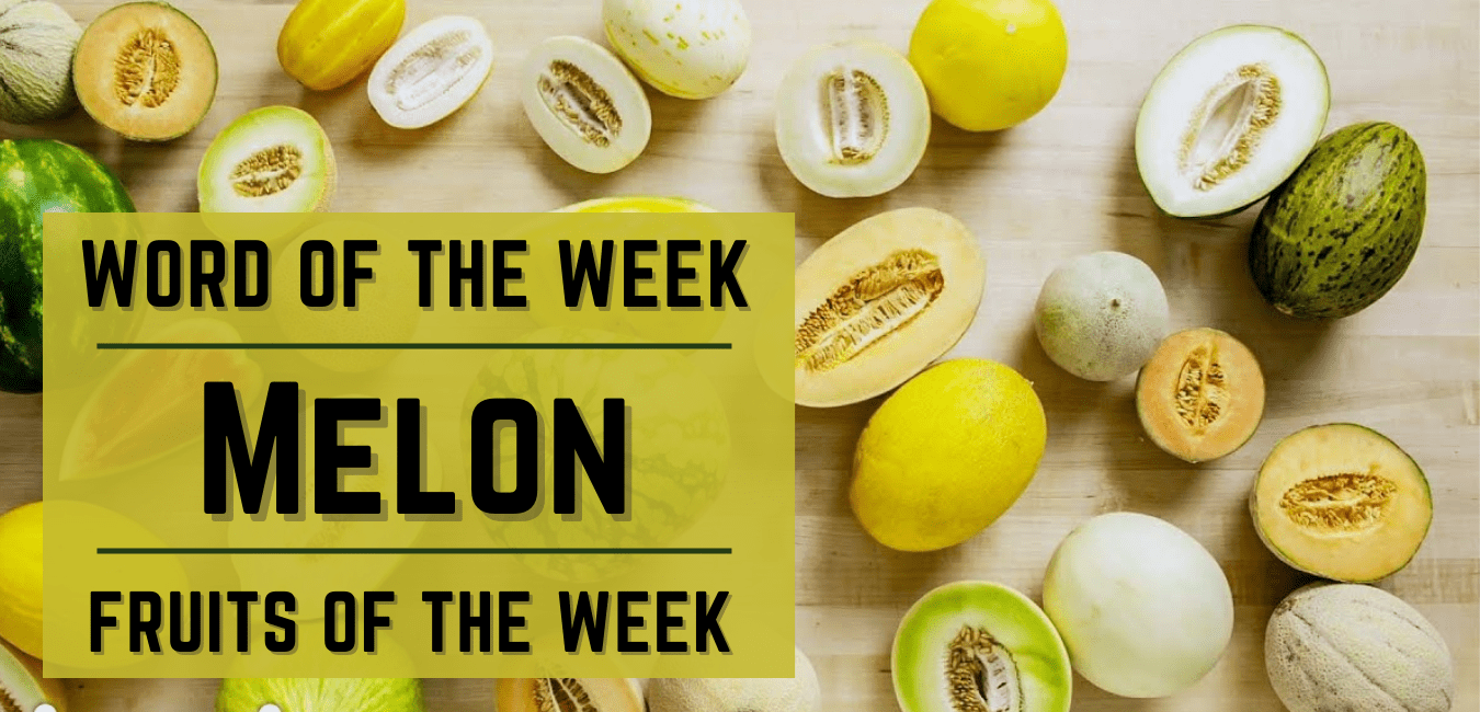 Word of the Week Melon Editing by Christina