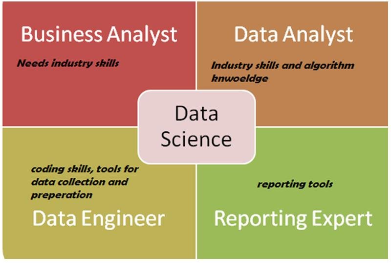 Business Analyst vs Data Analyst Which Profile Should You Choose?