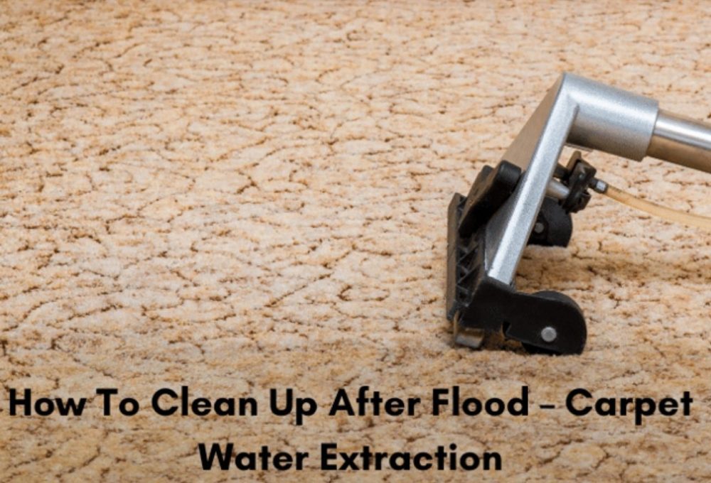 How to Clean Up after Flood Carpet Water Extraction? Editorialge
