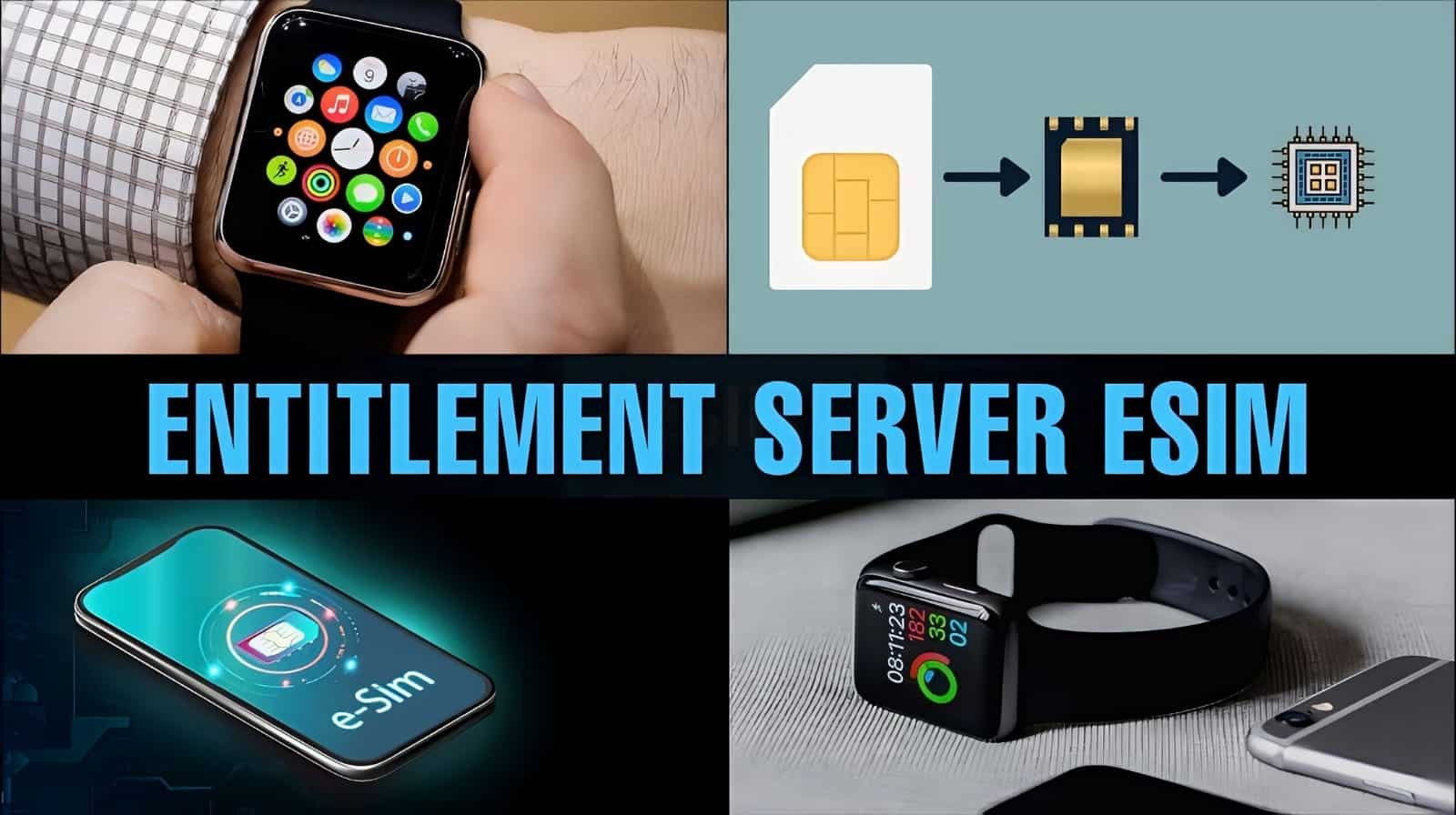 What is the Entitlement Server eSim and Why is It Important? Editorialge