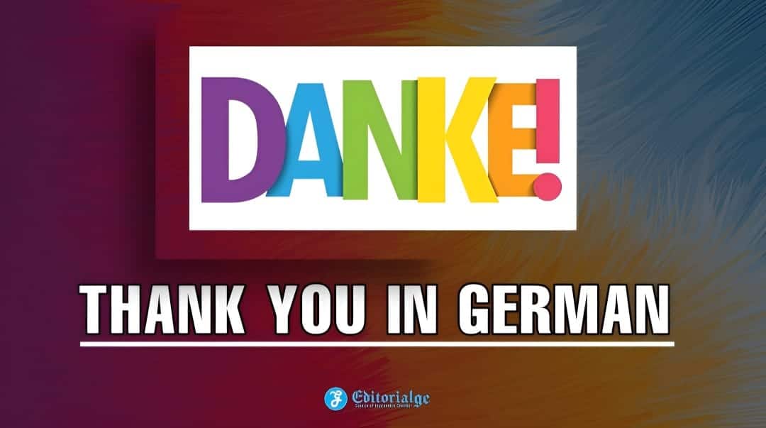 Top 35 Helpful Phrases How to Say Thank You in German?