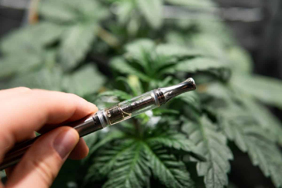What to Know Before Buying Your First Dab Pen? Editorialge