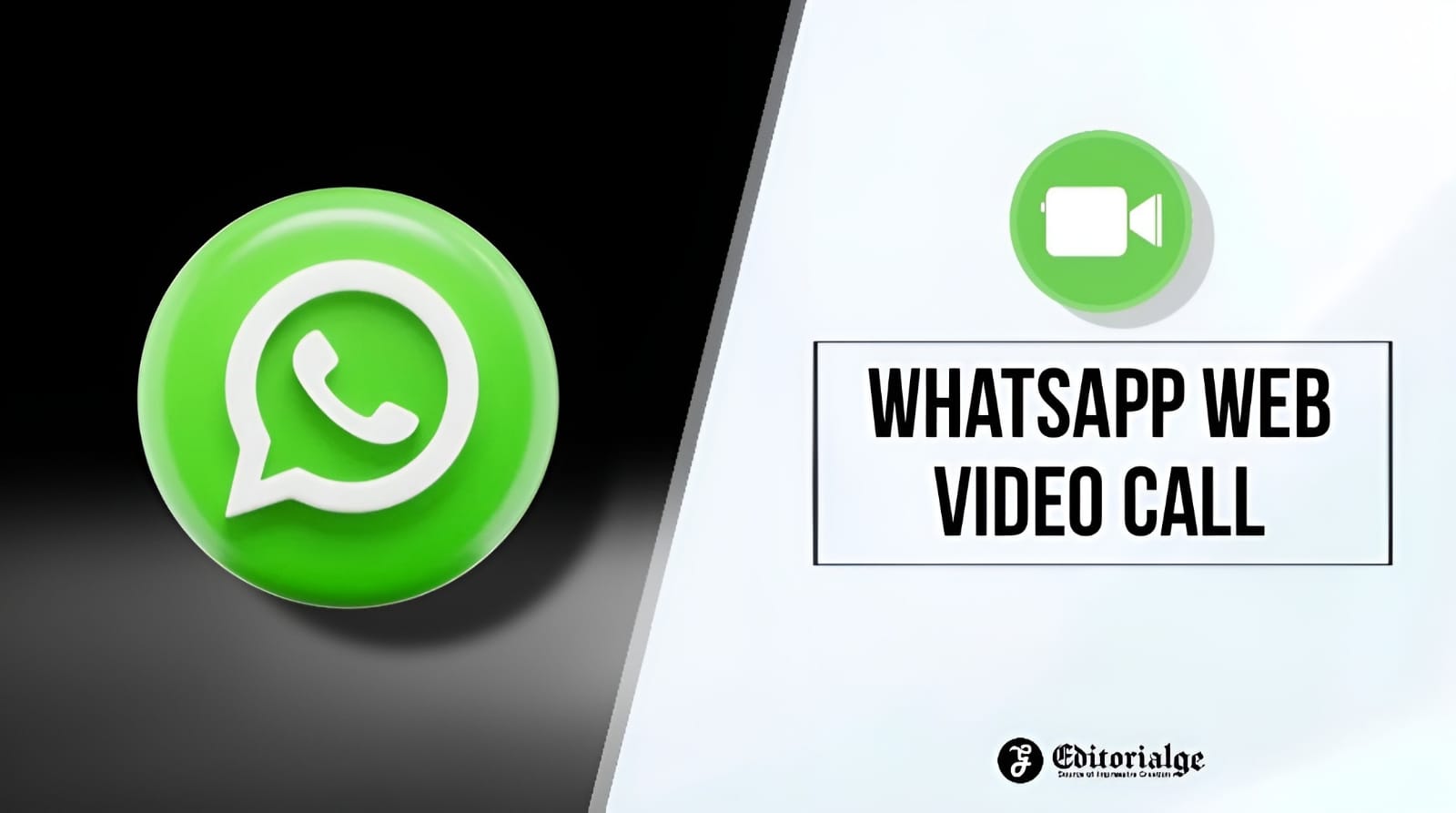 WhatsApp  Video Call Know All the Basics [Step By Step Guide]