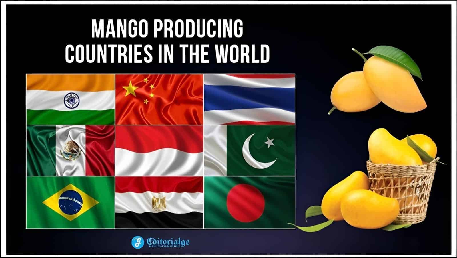 Discover the Top 25 Mango Producing Countries [Latest Information 2024]