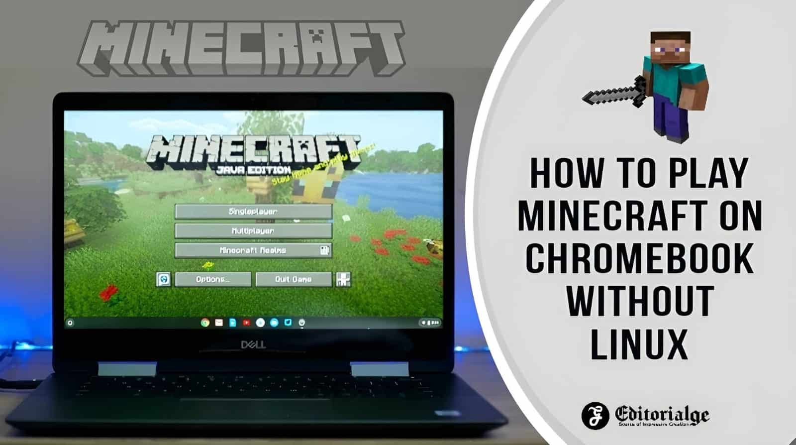 How to Play Minecraft on Chromebook Without Linux in 5 Steps?