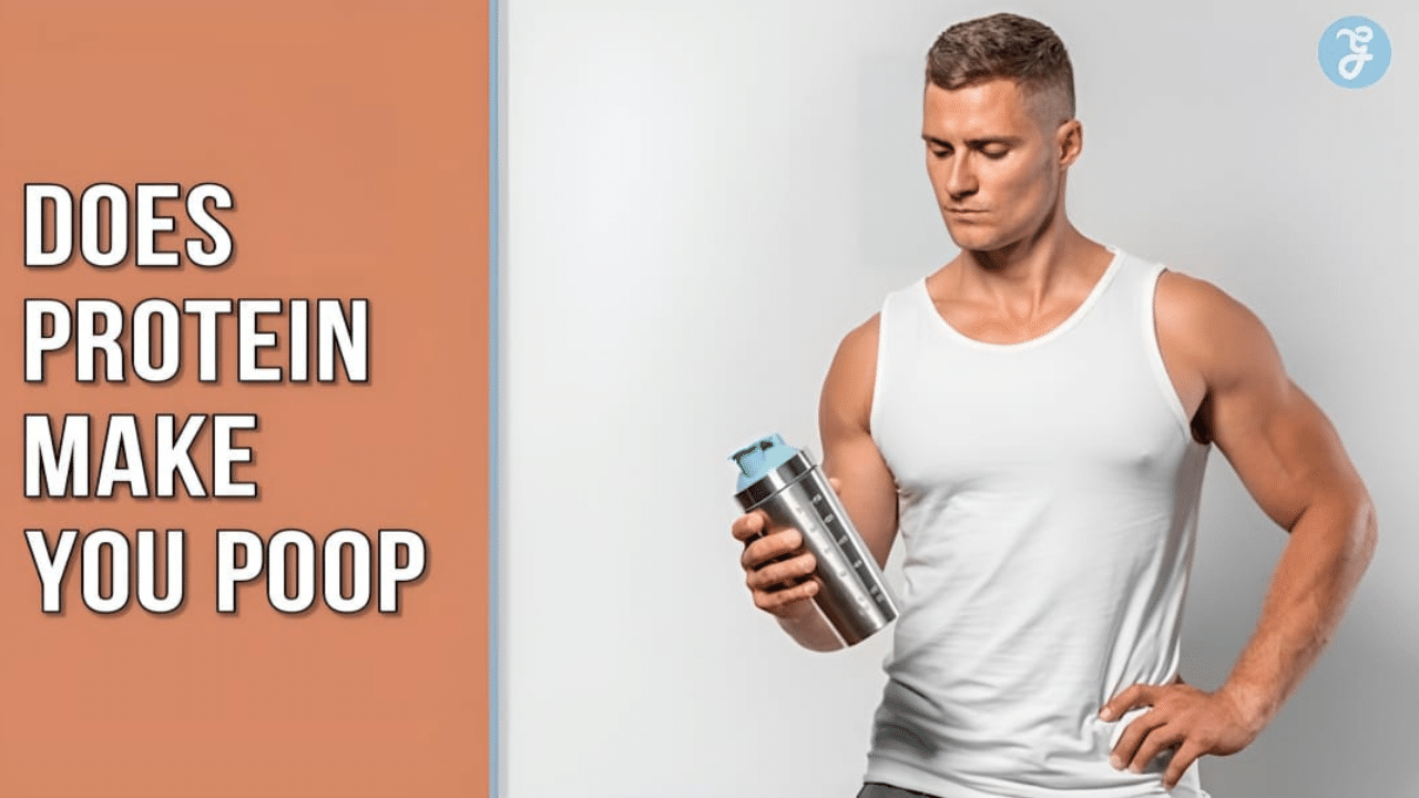 Does Protein Make You Poop Protein's Role in Digestion