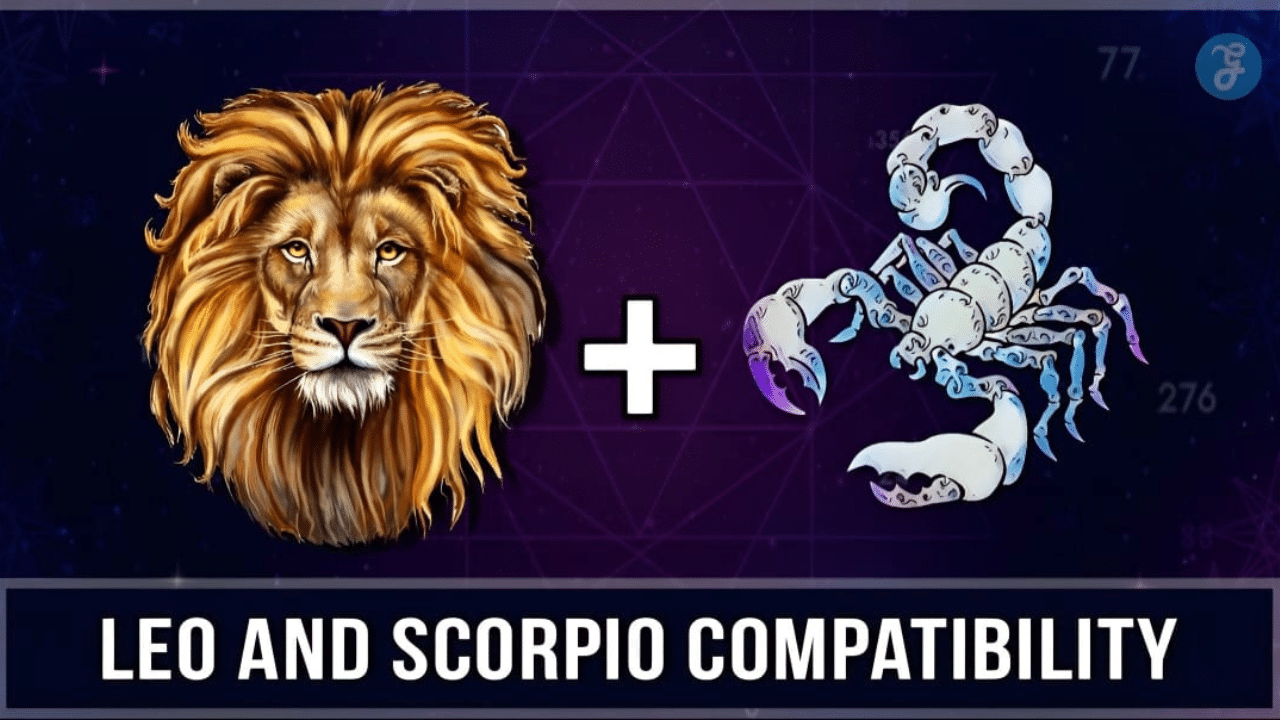 Leo and Scorpio Compatibility Understanding the Intense Bond