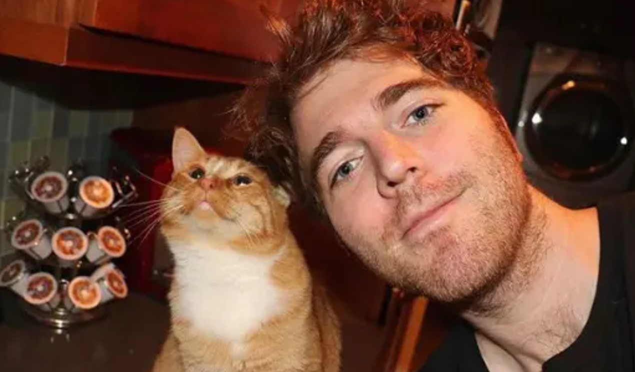 Shane Dawson starts trending after bizarre cat Tweet from “Nintendo