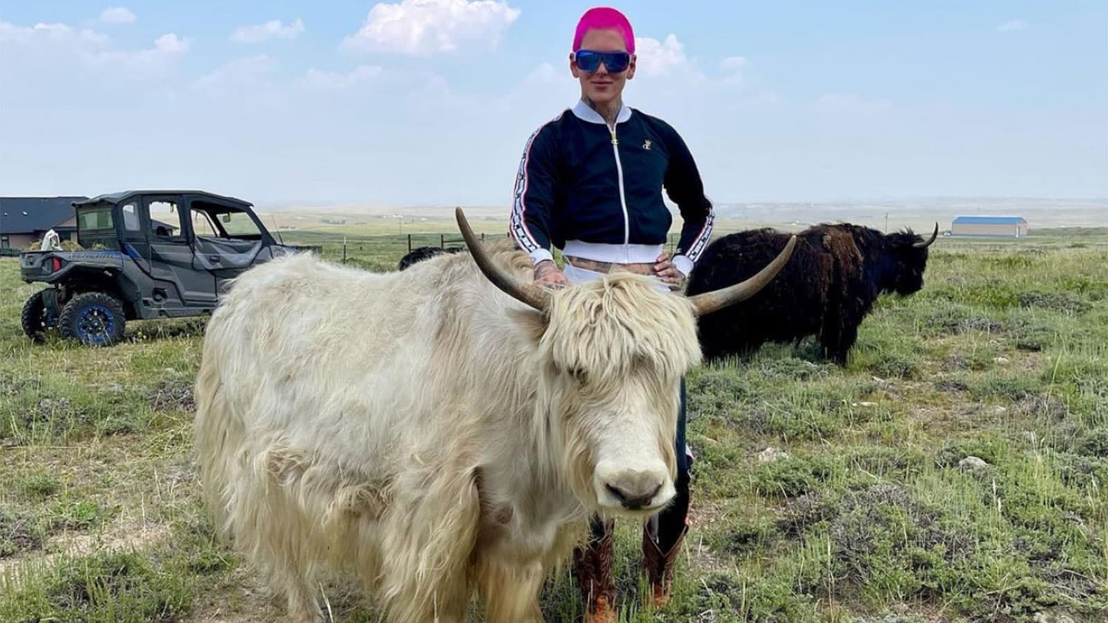 Jeffree Star adds 80 acres to sprawling Wyoming yak ranch Dexerto