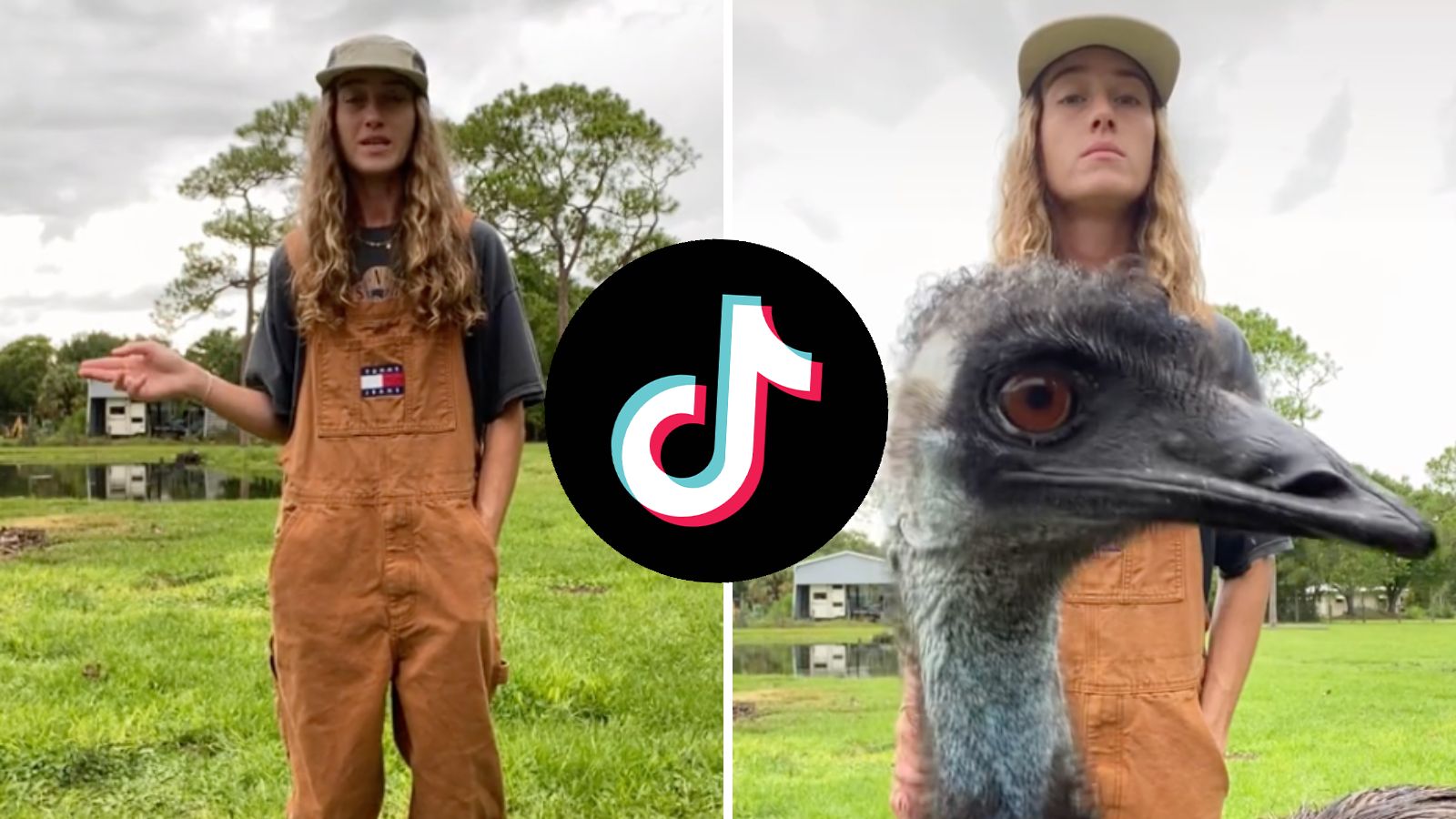 TikTok star Emmanuel the Emu ‘fighting for life’ in Florida avian flu