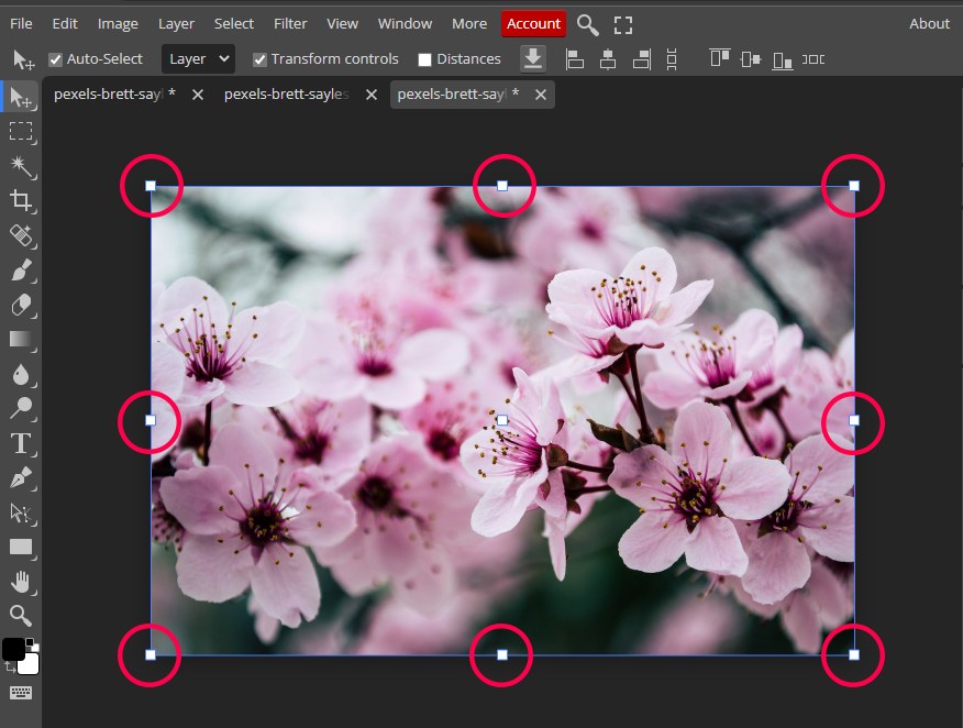 How to Move, Rotate, Flip, Scale & Duplicate an Image in Photopea