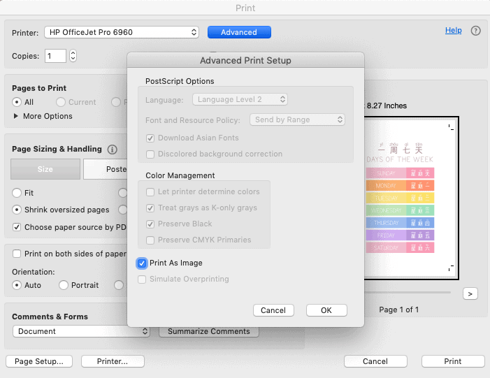 17 Free Road Trip Printables for Kids: English, Chinese, French