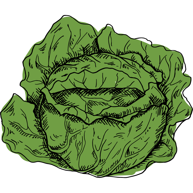 Ed Lester Farms Coushatta, LA Louisiana Peaches, Purple Hull Peas, Farmers Market