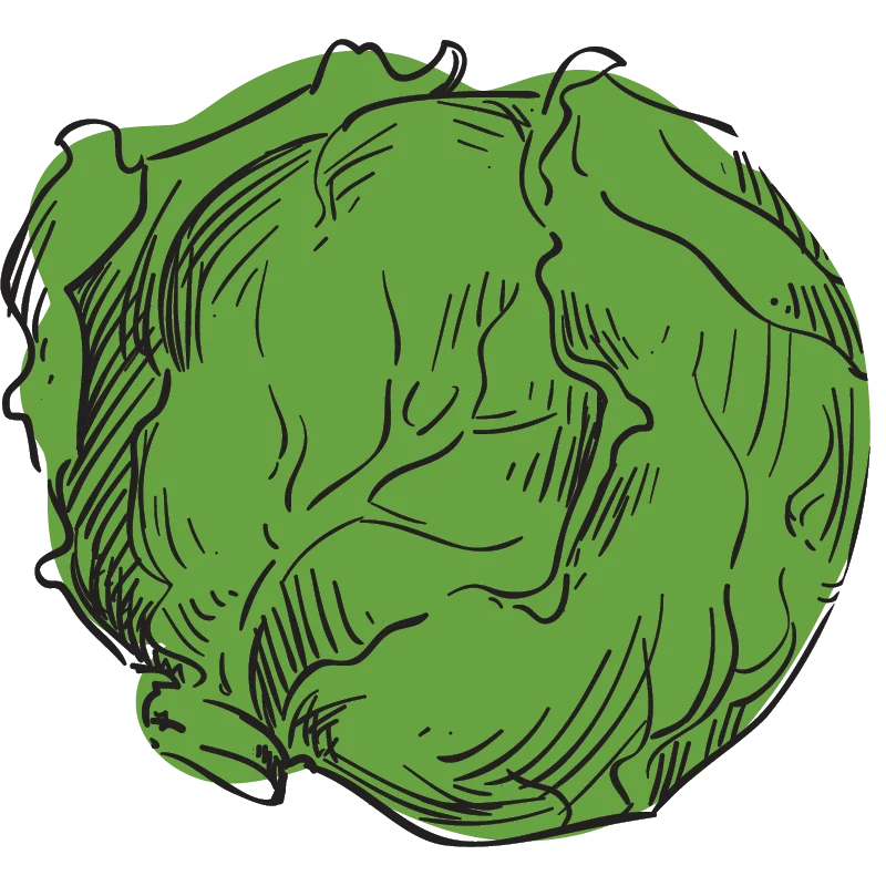 Ed Lester Farms Coushatta, LA Louisiana Peaches, Purple Hull Peas, Farmers Market