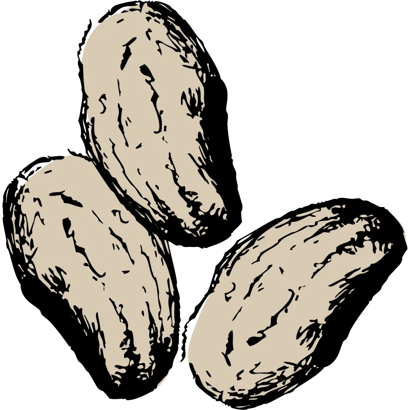 Ed Lester Farms Coushatta, LA Louisiana Peaches, Purple Hull Peas, Farmers Market