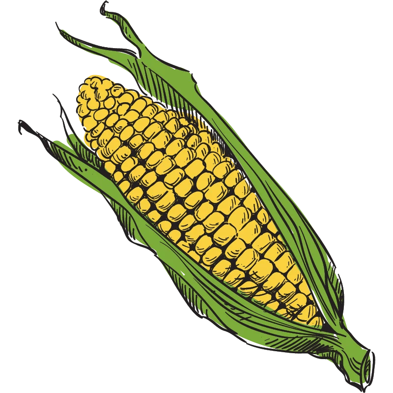 Ed Lester Farms Coushatta, LA Louisiana Peaches, Purple Hull Peas, Farmers Market