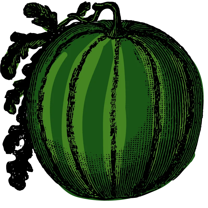 Ed Lester Farms Coushatta, LA Louisiana Peaches, Purple Hull Peas, Farmers Market