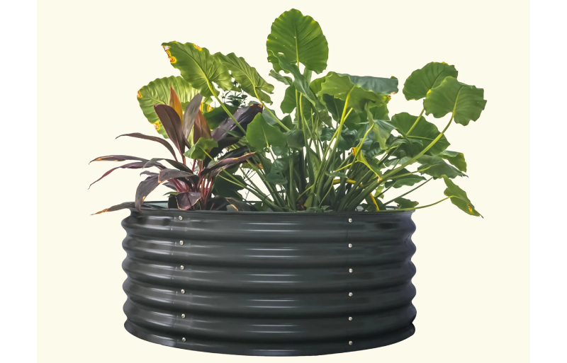 Reimagine Your Outdoor Space With Raised Beds For Sale