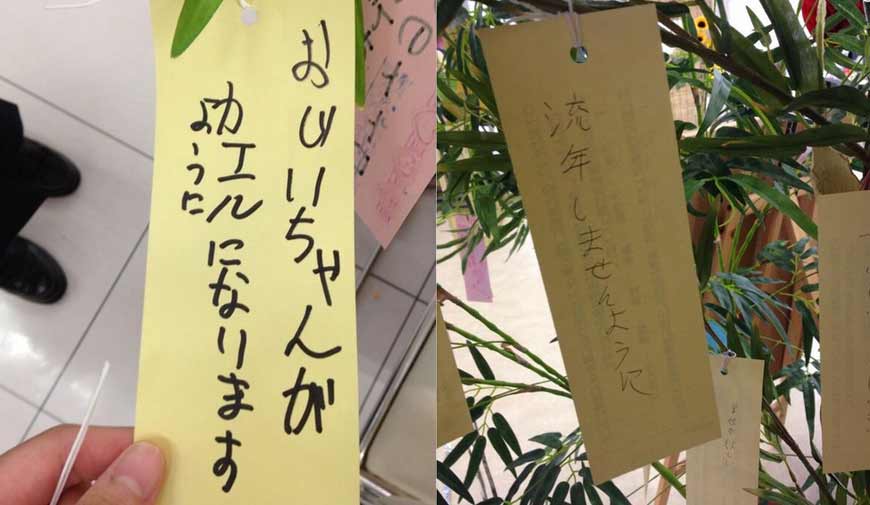 【爆笑】七夕の短冊に書かれた願い事がカオスすぎて織姫と彦星もブチ切れるレベル！！ edamame.