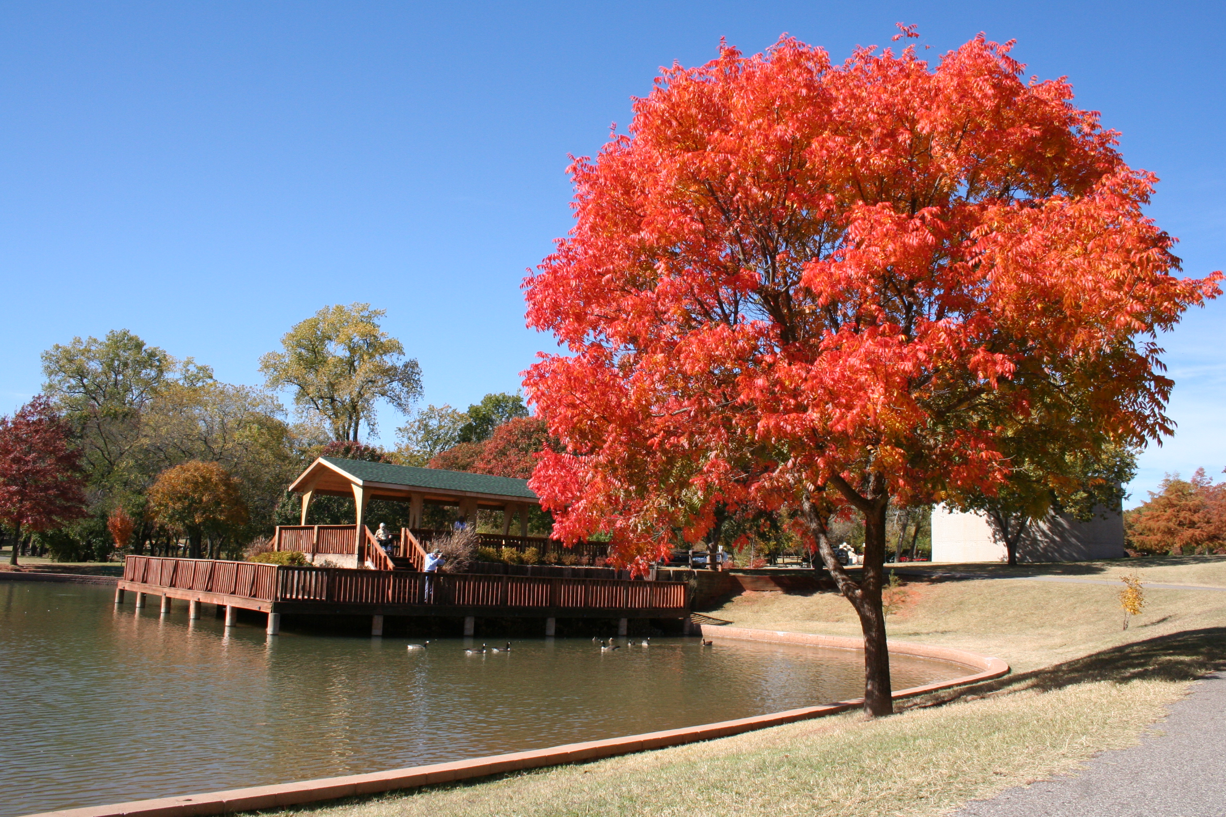 Edmond, OK Official site