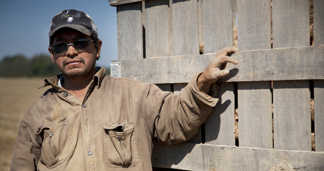 Edmondson Farm A Sweet Potato Farm in Vardaman, MS.