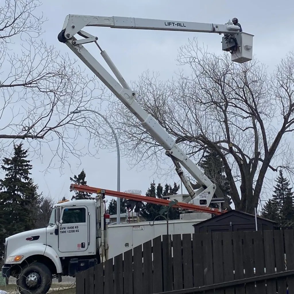 EDMONTON ARBORIST TREE SERVICE Tree Removal and Premier Tree Care