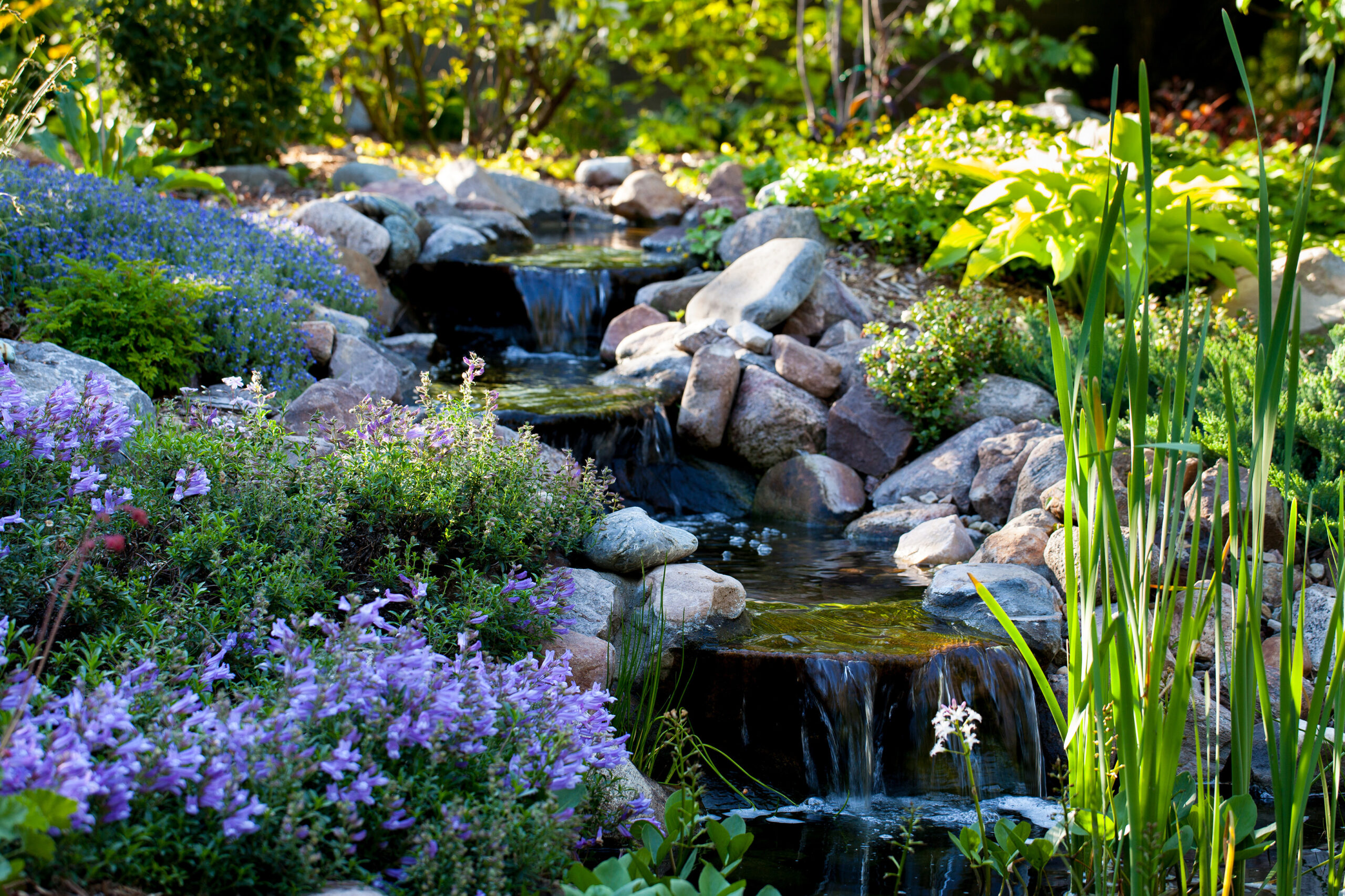 Garden Tour Edmonton Horticultural Society