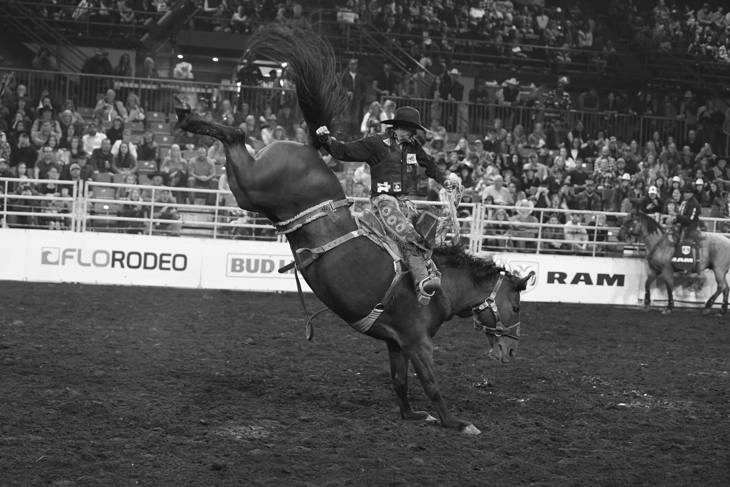 Results Edmonton Pro Rodeo