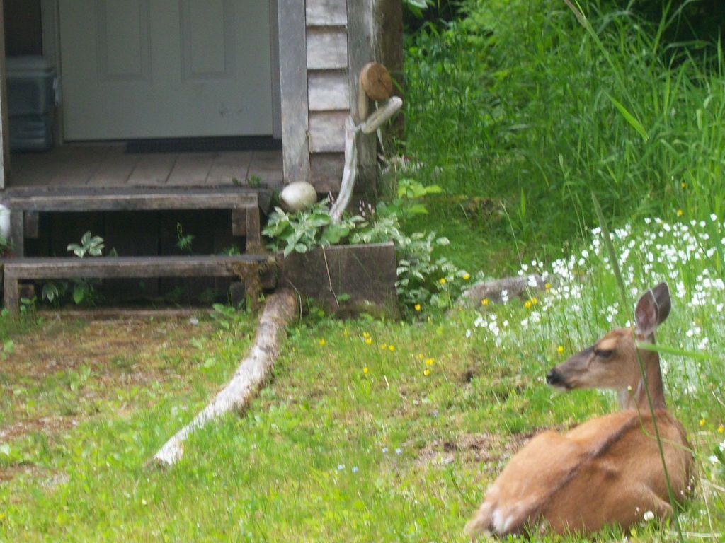 Edna Bay Alaska Realty